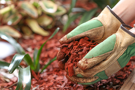 Wholesale Mulch